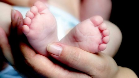 Около 1,1 тыс новорожденных зарегистрировали